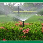 Escolher direito um sistema de irrigação