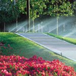 benefícios de um sistema de irrigação
