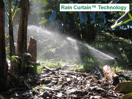 Aspersor LF 1200 Rain Bird para sistemas de irrigação