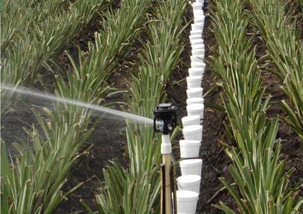 Aspersor LF 1200 Rain Bird para sistemas de irrigação